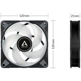 ARCTIC P12 PWM PST A-RGB case fan Zwart, 4-pins PWM fan-connector