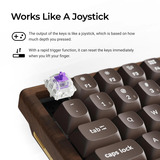 Keychron K2HE All-Wood Special Edition mechanisch toetsenbord Houtkleur, US lay-out (QWERTY), Gateron Double-Rail Magnetic Nebula, 75%, Gateron Double-Rail Magnetic, OSA PBT double-shot, hot swap, Bluetooth 5.2 | USB-C