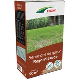 DCM Graszaad Herstel 0,75 kg zaden Tot 50 m²