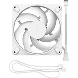 Fractal Design Momentum 12 White case fan Wit, 4-pin PWM connector