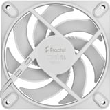 Fractal Design Momentum 12 case fan Wit, 120 x 120 x 25 mm, PWM