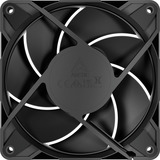 ARCTIC P12 Pro LN case fans Zwart, 5 stuks, 120 x 120 x 25 mm, PWM