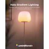 Govee Lantern Floor Lamp S verlichting Wit