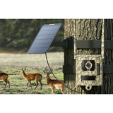 Reolink S130, 4K/8MP 4G LTE wildcamera met Live view en Starlight nachtzicht Camouflage kleur