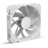 Sharkoon SHARK Mirror RGB PWM REVERSE case fan Wit, 4-pin PWM