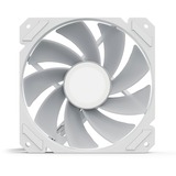 Sharkoon SHARK Mirror RGB PWM REVERSE case fan Wit, 4-pin PWM