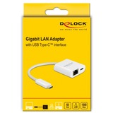 DeLOCK USB-C 3.2 Gen 1 naar RJ-45 Gigabit LAN adapter Wit, Power Delivery