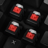 Sharkoon Skiller Mech SGK3 RGB mechanisch gaming toetsenbord Zwart, US lay-out (QWERTY), Kailh Red, 100%, RGB leds
