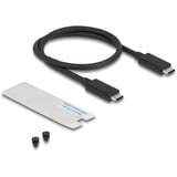 DeLOCK Externe M.2 NVMe SSD gaming behuizing USB-C 40 Gbps met RGB externe behuizing Grijs, met ventilator