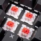 Sharkoon SKILLER SGK40 RGB mechanisch gaming toetsenbord Zwart, BE lay-out (AZERTY), Huano Red, 100%, RGB leds