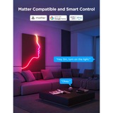 Govee Neon Rope Light 2 led strip Wit, 3 meter, 2,4GHz wifi + Bluetooth
