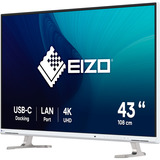 EIZO FlexScan EV4340X-WT 42.5" 4K Ultra HD monitor Wit, 1x DisplayPort, 2x HDMI, 2x USB-C, 2x USB-A, 1x RJ-45