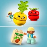 LEGO DUPLO - Fruit- en Groentetractor Constructiespeelgoed 10982