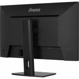 iiyama ProLite XB3294UHSCP-B1 31.5" 4K UHD gaming monitor Zwart, HDMI, DisplayPort, USB-C, Audio