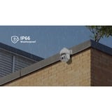 Foscam SD8EP, 4K/8MP PoE PTZ beveiligingscamera Zwart