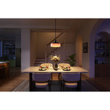 Govee Pendant Light verlichting Zwart