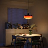 Govee Pendant Light verlichting Zwart