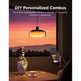 Govee Pendant Light verlichting Zwart