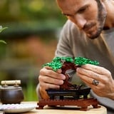 LEGO Botanical Collection - Bonsaiboompje Constructiespeelgoed 10281