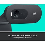 Logitech C505 HD Webcam Zwart