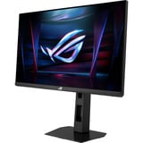 ASUS ROG Strix XG248QSG 24.1" gaming monitor Zwart, 2x HDMI, DisplayPort, 610Hz (OC)