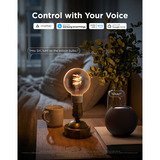 Govee Edison Bulb G80 E27 (2-stuks) ledlamp Transparant, WiFi, Bluetooth