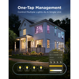 Govee Edison Bulb G80 E27 (2-stuks) ledlamp Transparant, WiFi, Bluetooth