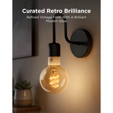 Govee Edison Bulb G80 E27 (2-stuks) ledlamp Transparant, WiFi, Bluetooth