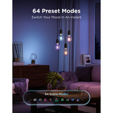 Govee Edison Bulb G80 E27 (2-stuks) ledlamp Transparant, WiFi, Bluetooth
