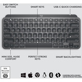Logitech MX Keys Mini Minimalist Wireless toetsenbord Grafiet, US-International lay-out (QWERTY), 80% (TKL)	, Bluetooth