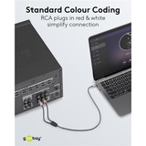 goobay Plus 3,5 mm jack naar 2x stereo RCA (Tulp) adapterkabel Zwart/zilver, 3 meter