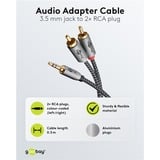goobay Plus 3,5 mm jack naar 2x stereo RCA (Tulp) adapterkabel Zwart/zilver, 3 meter