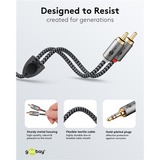 goobay Plus 3,5 mm jack naar 2x stereo RCA (Tulp) adapterkabel Zwart/zilver, 3 meter