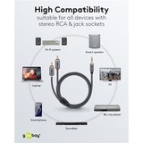 goobay Plus 3,5 mm jack naar 2x stereo RCA (Tulp) adapterkabel Zwart/zilver, 3 meter