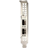 Broadcom NetXtreme 2x 10GbE netwerkadapter 