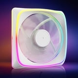 Sharkoon SHARK Lights RGB PWM case fan Wit, 4-pin PWM