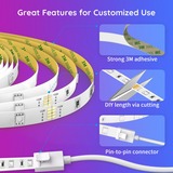 Govee H6110 RGB LED strip Light ledstrip 2x 5 meter, Wifi, Bluetooth