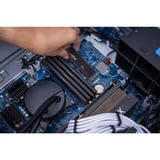 Crucial P310 500 GB SSD Zwart, CT500P310SSD8, PCIe Gen 4.0 x4, NVMe 2.0