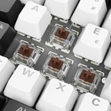 Sharkoon SKILLER SGK50 S2 RGB mechanisch gaming toetsenbord Wit, BE lay-out (AZERTY), Gateron Brown, 96%, Hot-swappable