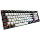 Sharkoon SKILLER SGK50 S2, gaming toetsenbord Wit, BE Lay-out, Gateron Brown, RGB leds, Hot-swappable