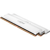 32 GB DDR5-6000 (2x 16 GB) Dual-Kit werkgeheugen