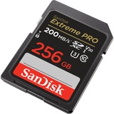 SanDisk Extreme PRO 256 GB SDXC geheugenkaart Zwart, UHS-I, Class 10, U3, V30