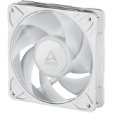 ARCTIC P12 Pro A-RGB case fan Wit
