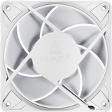 ARCTIC P12 Pro A-RGB case fan Wit