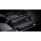 G.Skill Flare X5 64 GB DDR5-6000 (2x 32 GB) werkgeheugen Zwart, F5-6000J3040G32GX2-FX5, EXPO