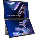 ASUS ZenScreen Duo OLED MQ149CD 21" monitor Zilver, 1x Mini HDMI, 3x USB-C