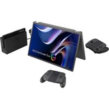 ASUS ZenScreen Duo OLED MQ149CD 21" monitor Zilver, 1x Mini HDMI, 3x USB-C