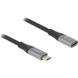 DeLOCK USB-C (male) naar USB-C (female) verlengkabel Zwart/zilver, 1 meter