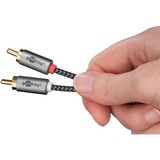goobay Plus 3,5 mm jack naar 2x stereo RCA (Tulp) adapterkabel Zwart/zilver, 5 meter