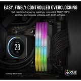 Corsair Vengeance RGB 32 GB DDR5-6000 (2x 16 GB) werkgeheugen Zwart, CMH32GX5M2D6000Z38, EXPO